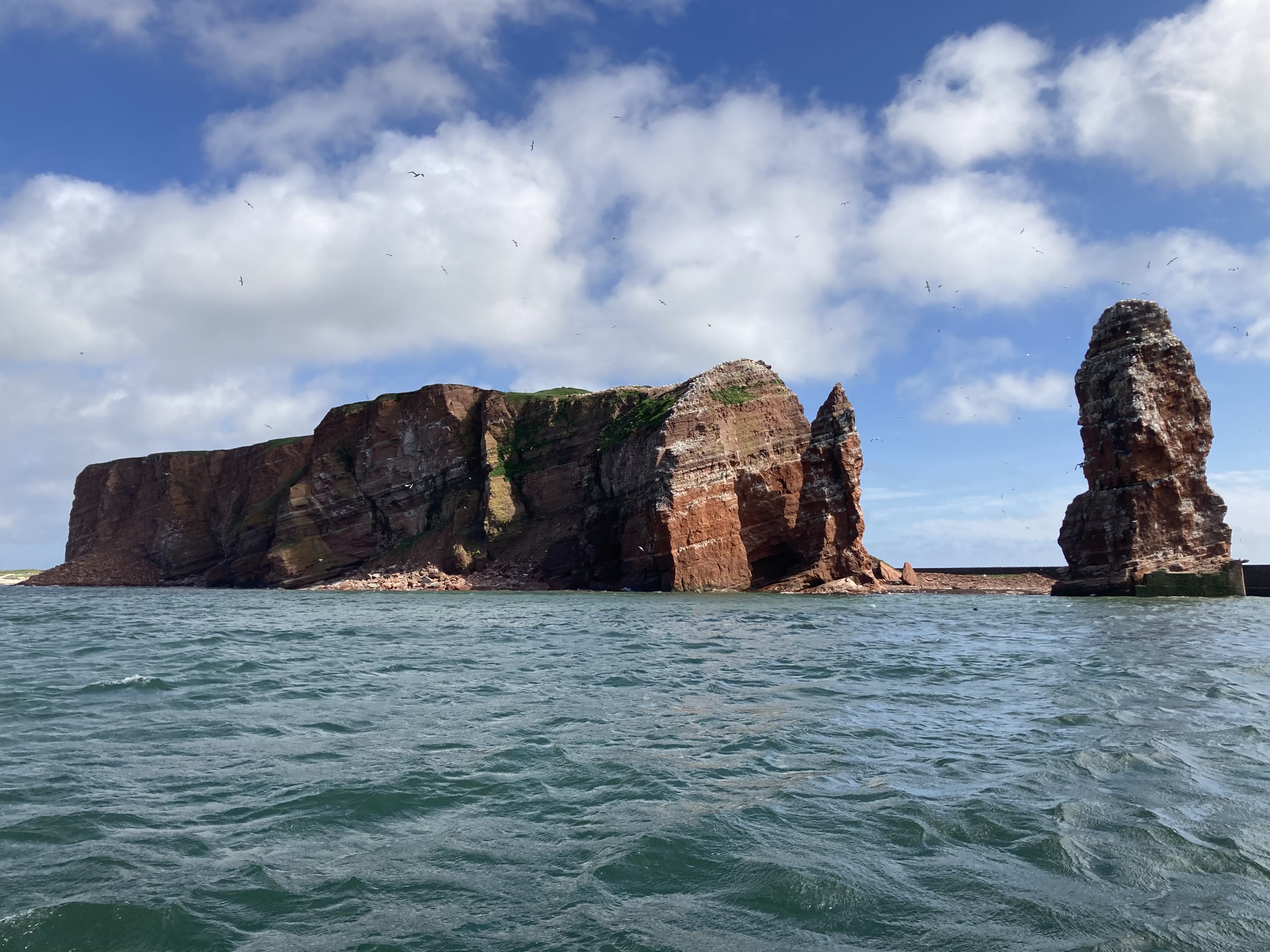 607FBBD9-7D17-4271-BF8E-09DE822C8035